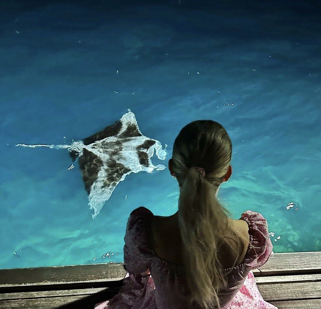 Girl in pink dress on dock watching a ray in turquoise water
