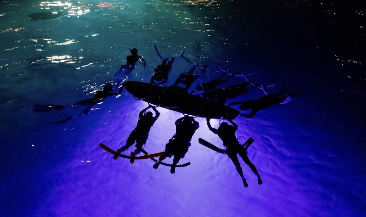 Silhouetted swimmers around a glowing light board, Keauhou Bay night waters